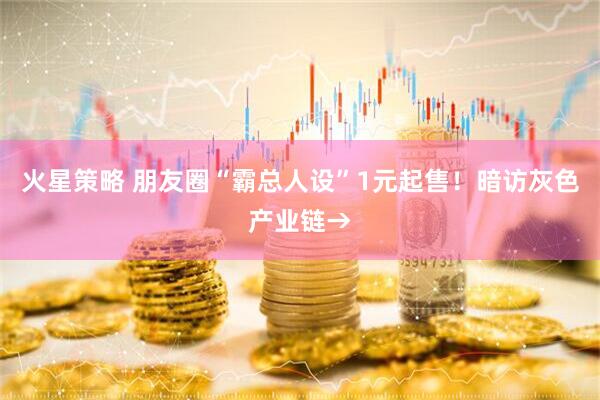 火星策略 朋友圈“霸总人设”1元起售！暗访灰色产业链→